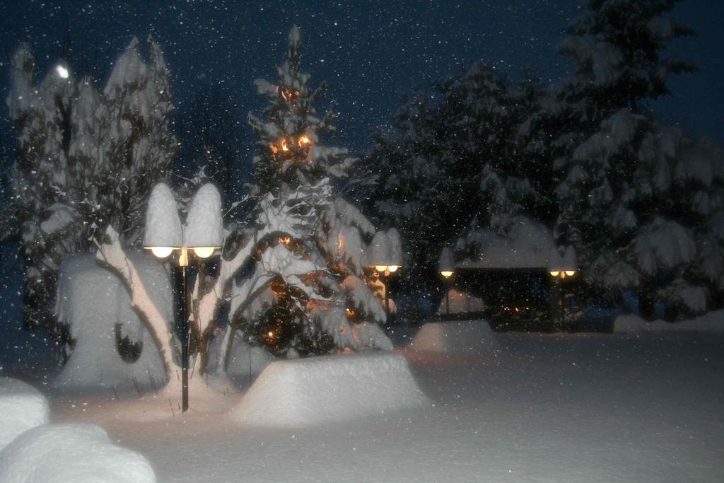 Pension Konigshof Mallnitz Bagian luar foto
